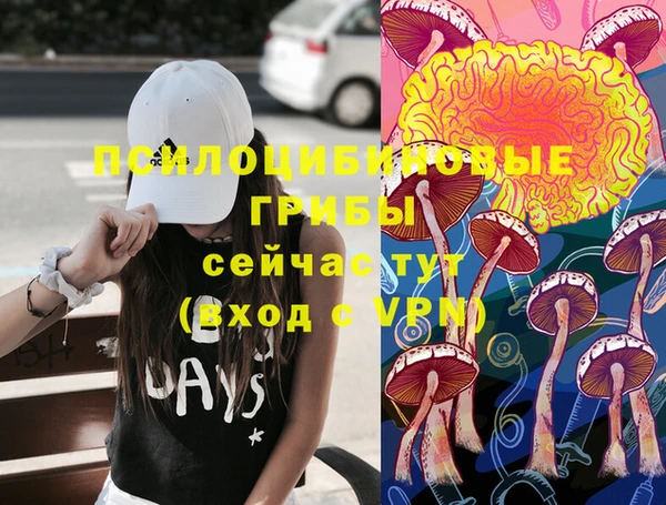 бошки Абаза